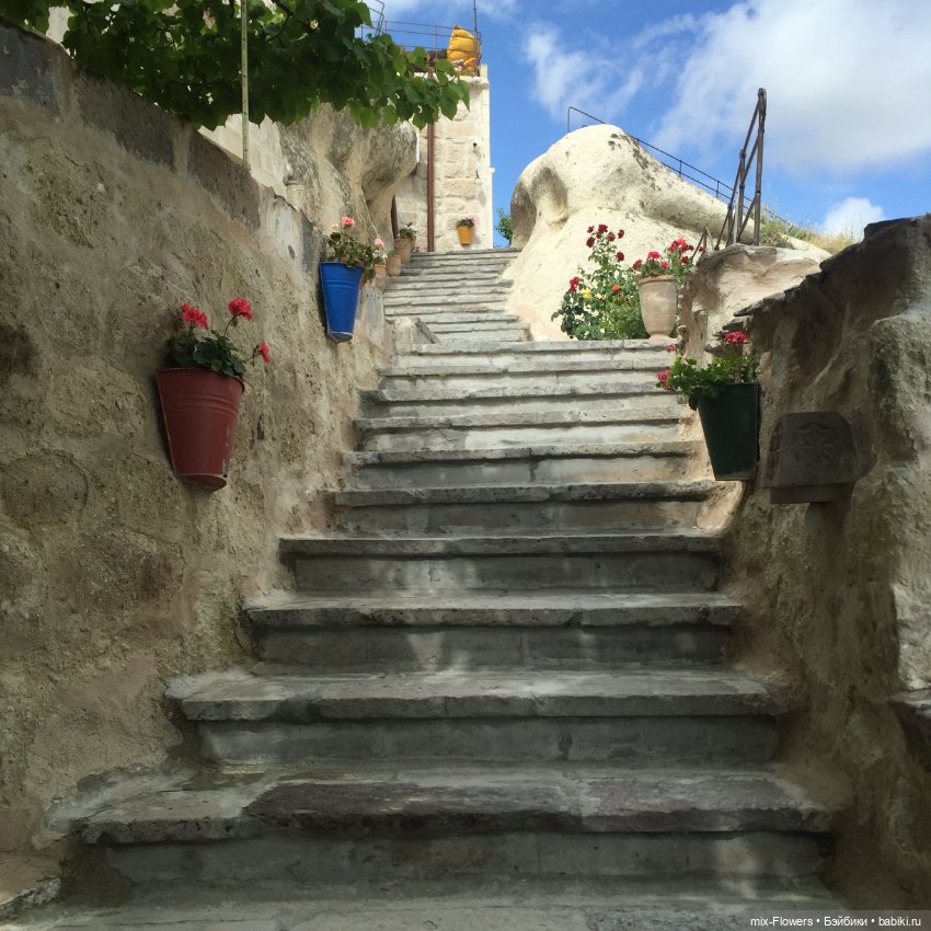 Любите жизнь! Вам с нею жить и жить