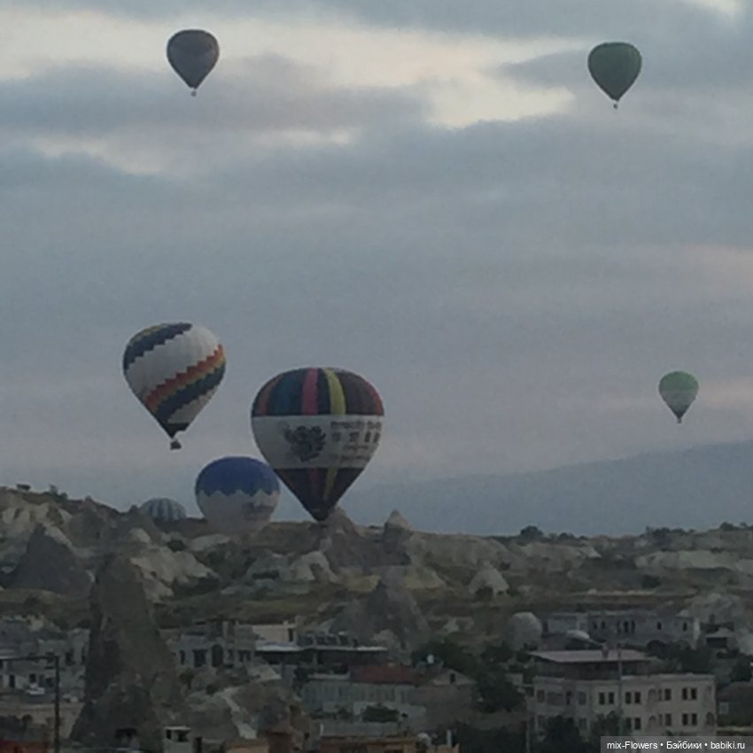 Любите жизнь! Вам с нею жить и жить (фото 4)