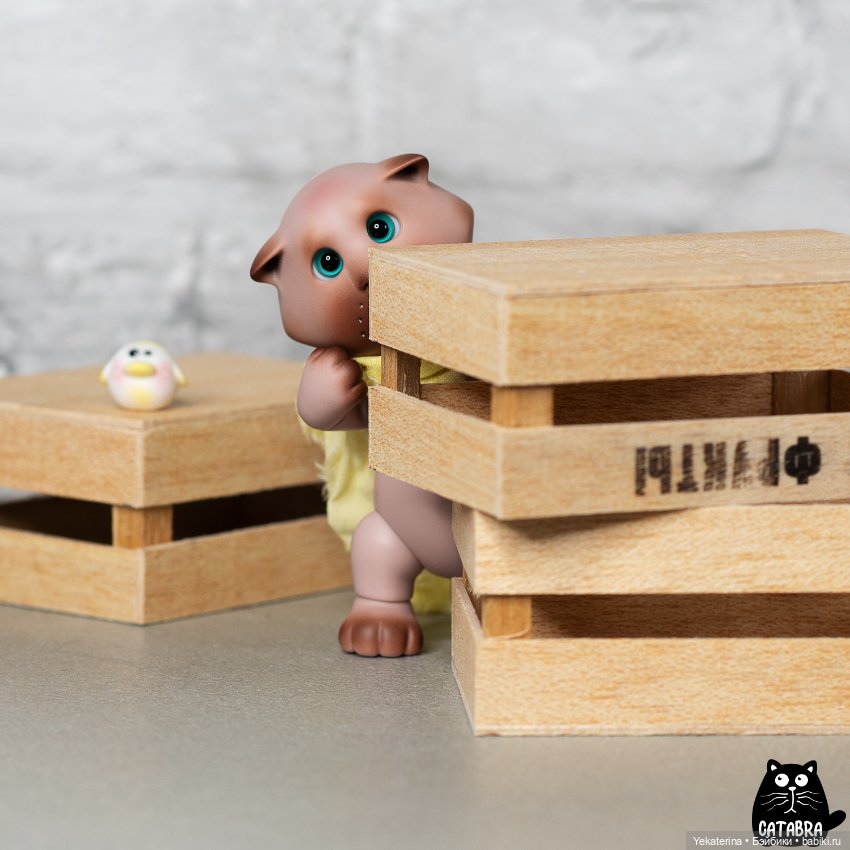 Разные куклы BJD (БЖД): редкие бренды