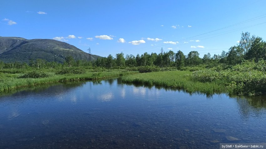 Немного северной зелени. Яркие краски лета в Заполярье. 1-2 июля