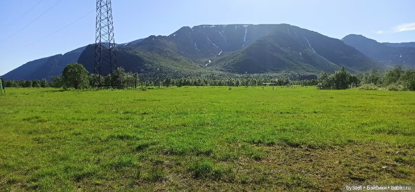 Немного северной зелени. Яркие краски лета в Заполярье. 1-2 июля