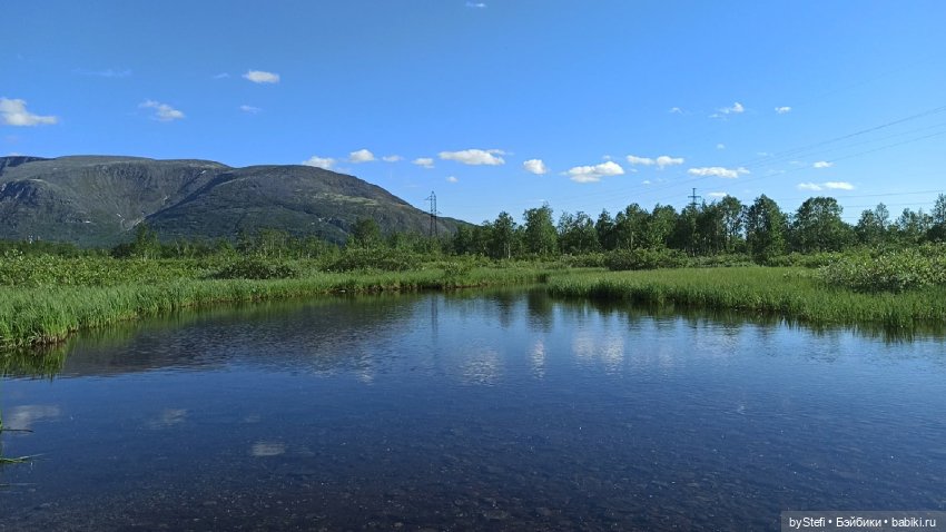 Немного северной зелени. Яркие краски лета в Заполярье. 1-2 июля