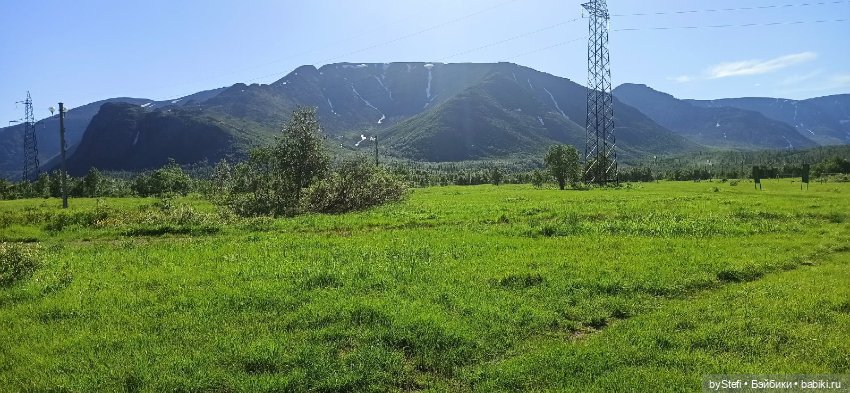 Немного северной зелени. Яркие краски лета в Заполярье. 1-2 июля