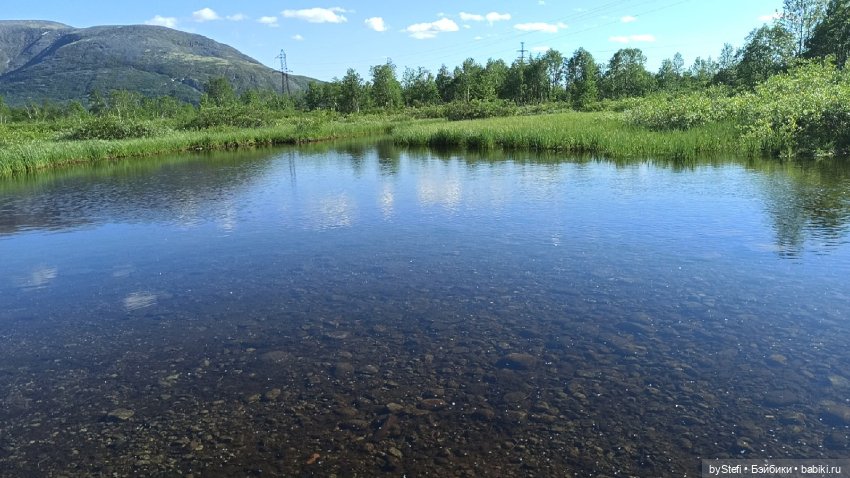 Немного северной зелени. Яркие краски лета в Заполярье. 1-2 июля