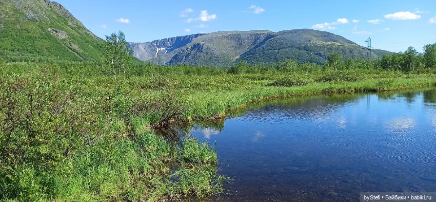 Немного северной зелени. Яркие краски лета в Заполярье. 1-2 июля