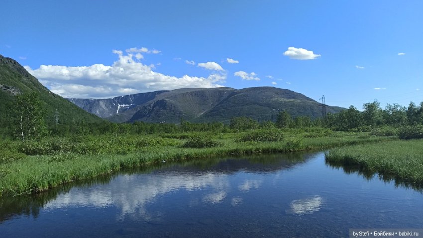 Немного северной зелени. Яркие краски лета в Заполярье. 1-2 июля