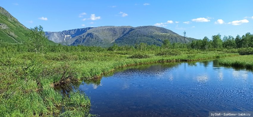 Немного северной зелени. Яркие краски лета в Заполярье. 1-2 июля