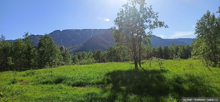 Немного северной зелени. Яркие краски лета в Заполярье. 1-2 июля