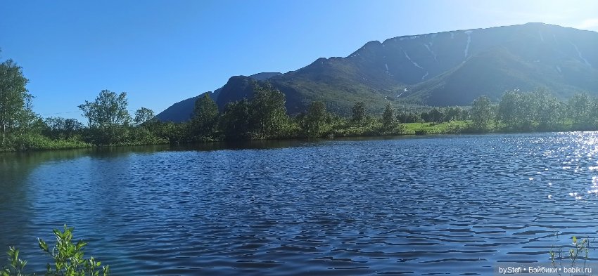 Немного северной зелени. Яркие краски лета в Заполярье. 1-2 июля (фото 7)