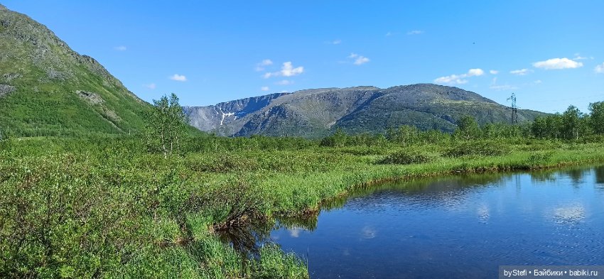 Немного северной зелени. Яркие краски лета в Заполярье. 1-2 июля