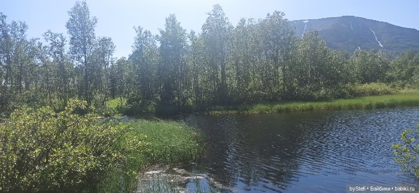 Немного северной зелени. Яркие краски лета в Заполярье. 1-2 июля