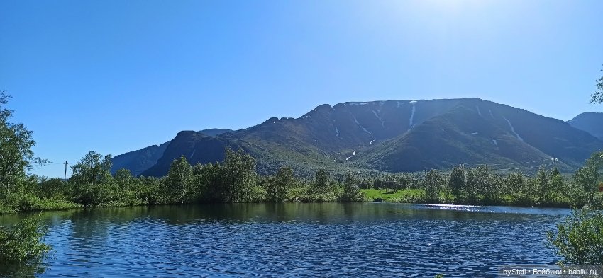 Немного северной зелени. Яркие краски лета в Заполярье. 1-2 июля