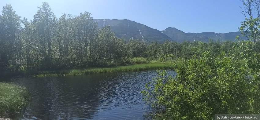 Немного северной зелени. Яркие краски лета в Заполярье. 1-2 июля