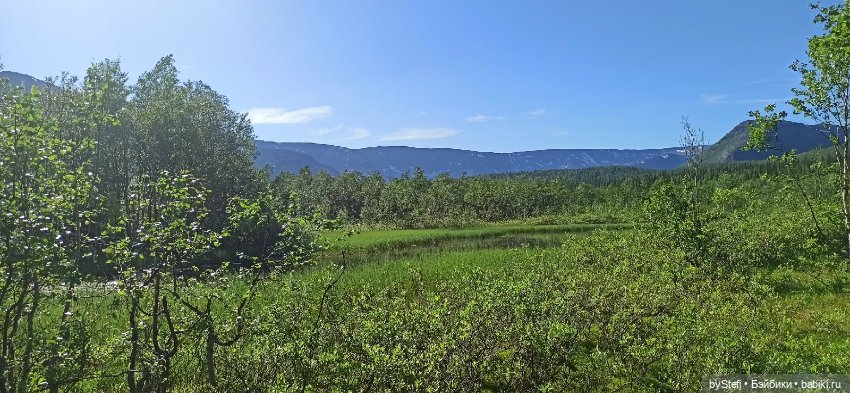 Немного северной зелени. Яркие краски лета в Заполярье. 1-2 июля