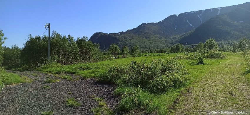 Немного северной зелени. Яркие краски лета в Заполярье. 1-2 июля
