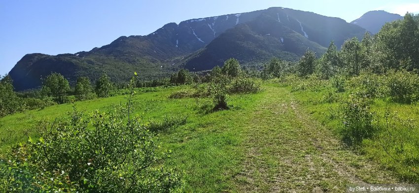 Немного северной зелени. Яркие краски лета в Заполярье. 1-2 июля (фото 10)