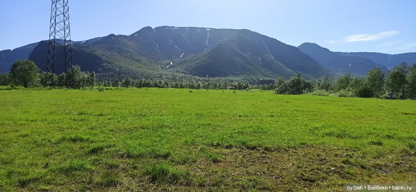 Немного северной зелени. Яркие краски лета в Заполярье. 1-2 июля