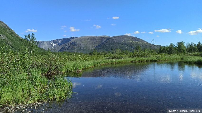 Немного северной зелени. Яркие краски лета в Заполярье. 1-2 июля
