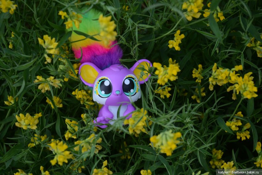 Это я удачно приземлилась! (постконкурс)