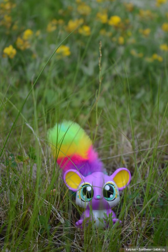 Это я удачно приземлилась! (постконкурс)