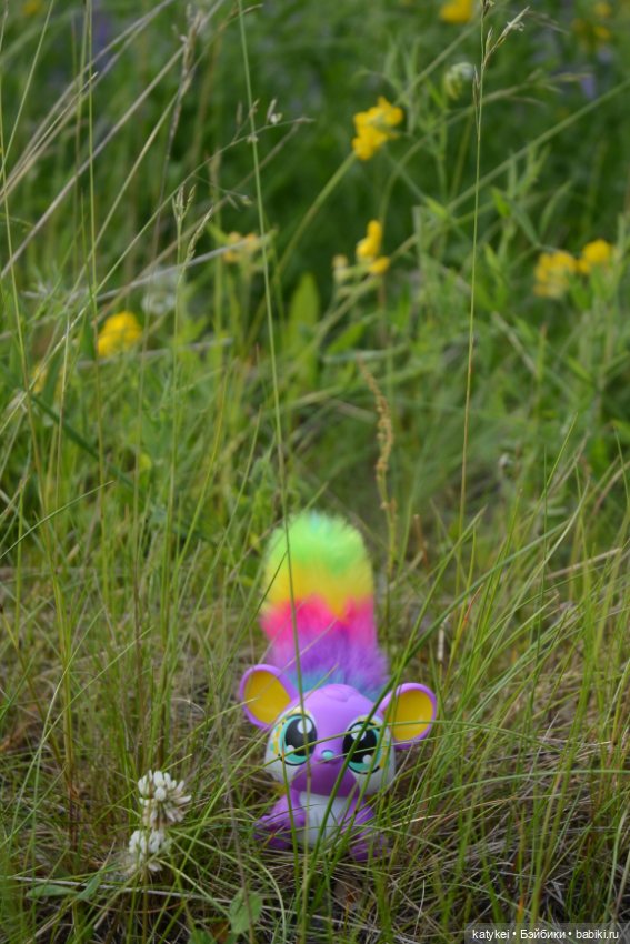 Это я удачно приземлилась! (постконкурс)