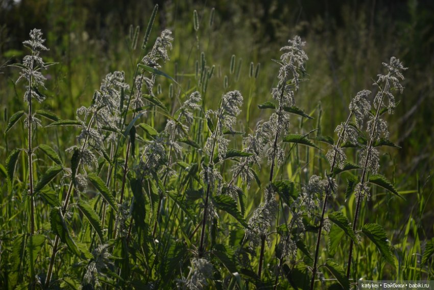 Это я удачно приземлилась! (постконкурс) (фото 4)
