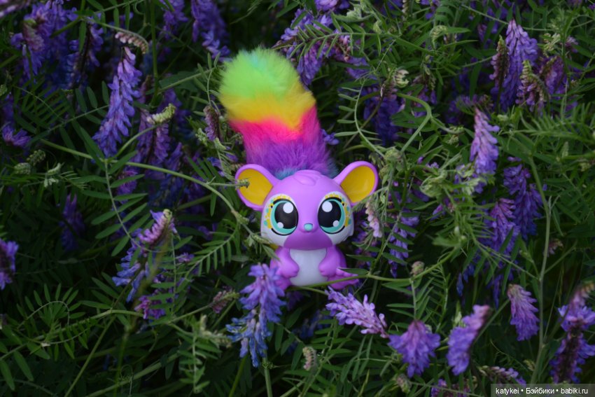 Это я удачно приземлилась! (постконкурс)