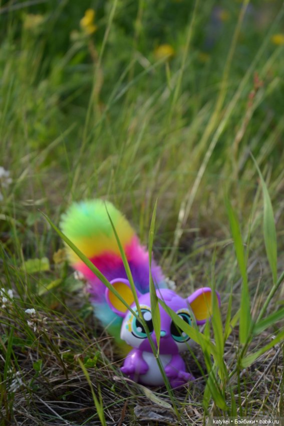 Это я удачно приземлилась! (постконкурс)