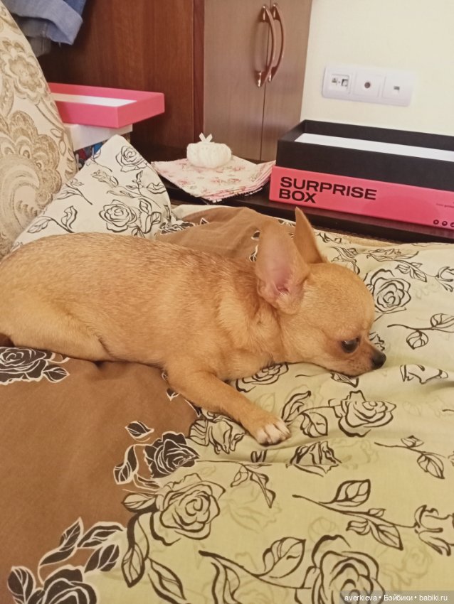 Башкирия. Отпуск. Первый день