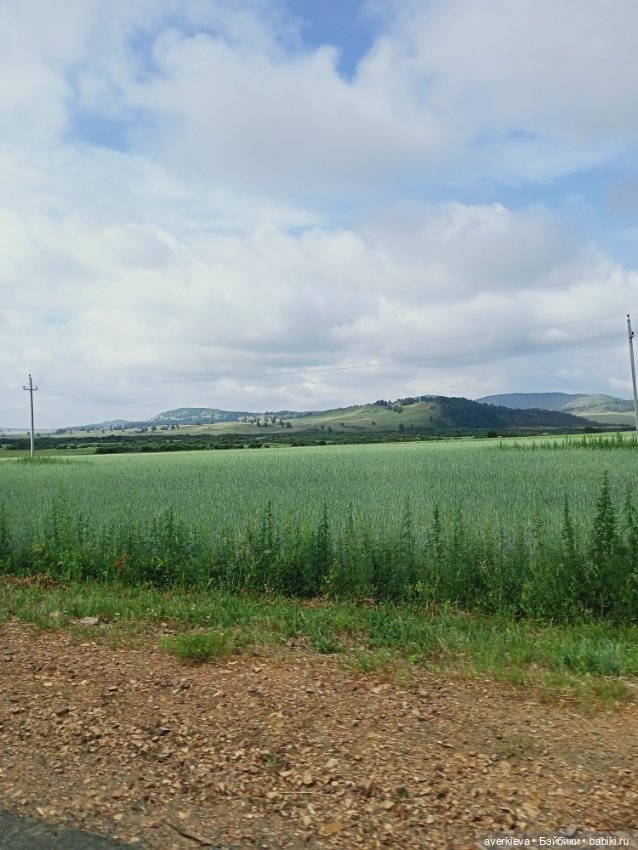 Башкирия. Отпуск. Первый день (фото 3)