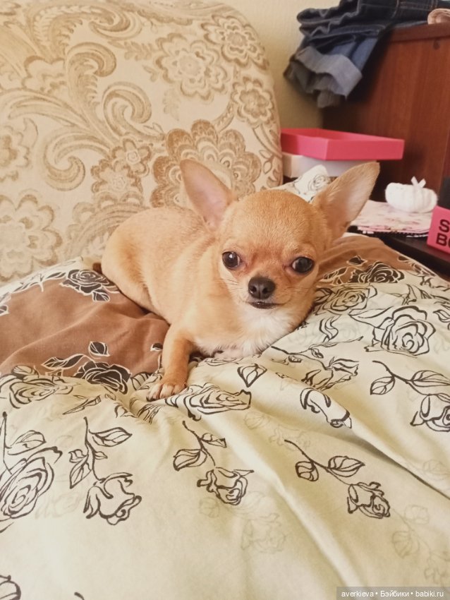 Башкирия. Отпуск. Первый день (фото 10)