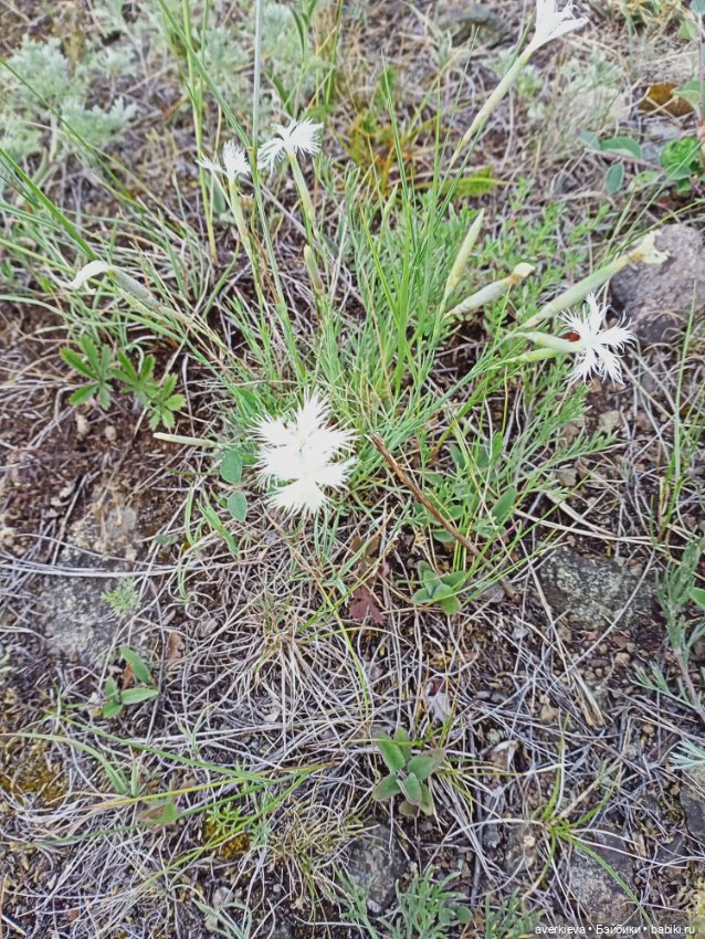 Башкирия. Отпуск. Первый день