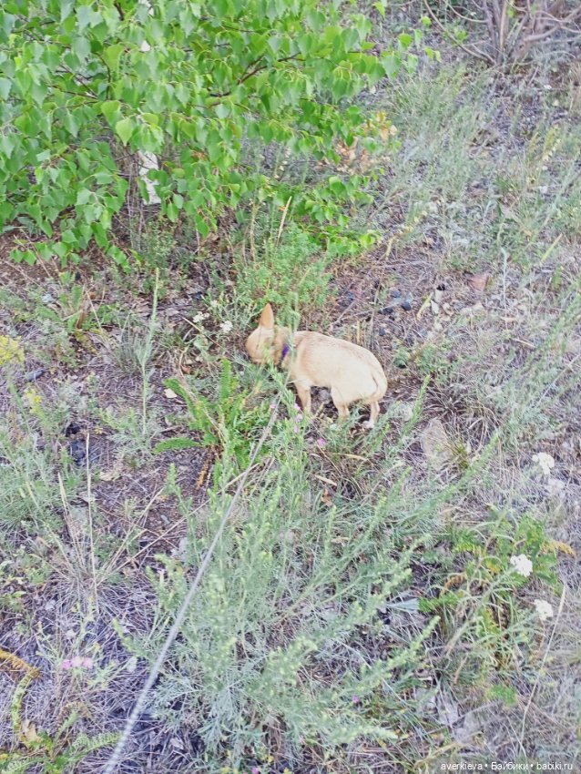 Башкирия. Отпуск. Первый день
