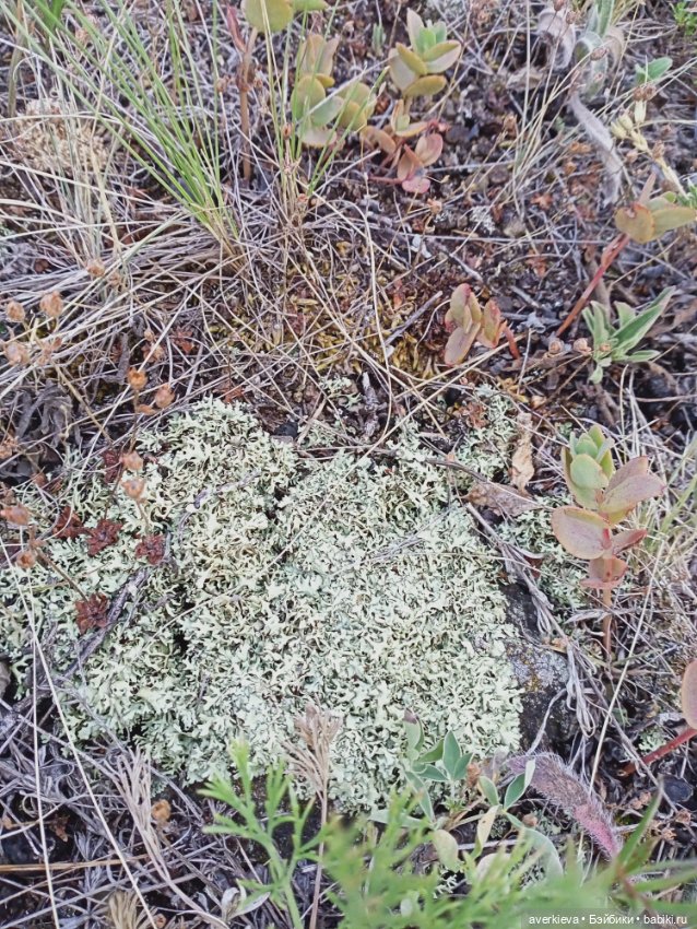 Башкирия. Отпуск. Первый день