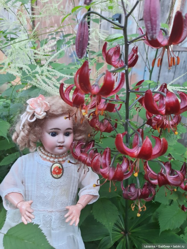 Цвет настроения... белый — Антикварные куклы Armand Marseille (AM): молд 390