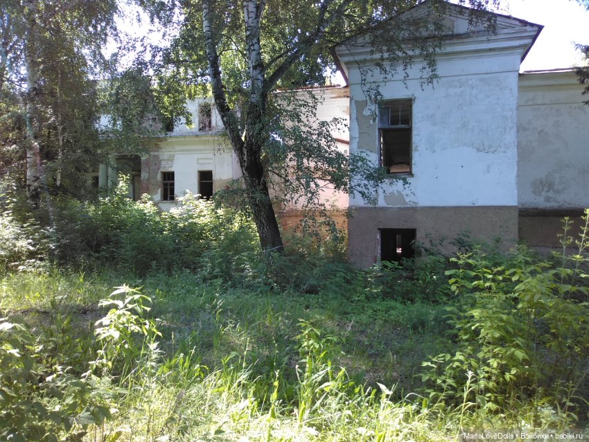 Усадьба Воейкова и прогулка по родному городу (фото 5)