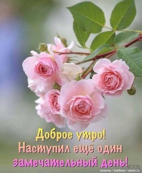 Цвет настроения... розовый