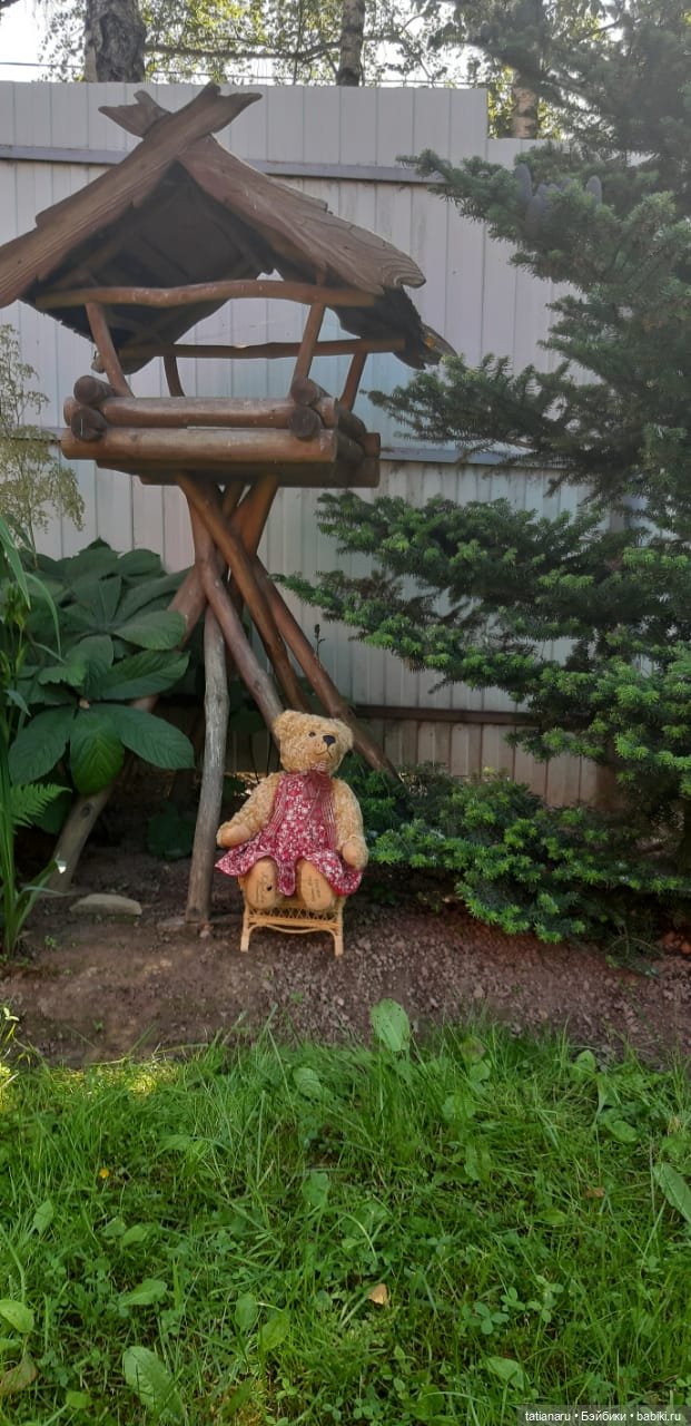 Дачная прогулка — Болталка и разговоры обо всем: жизнь (фото 8)