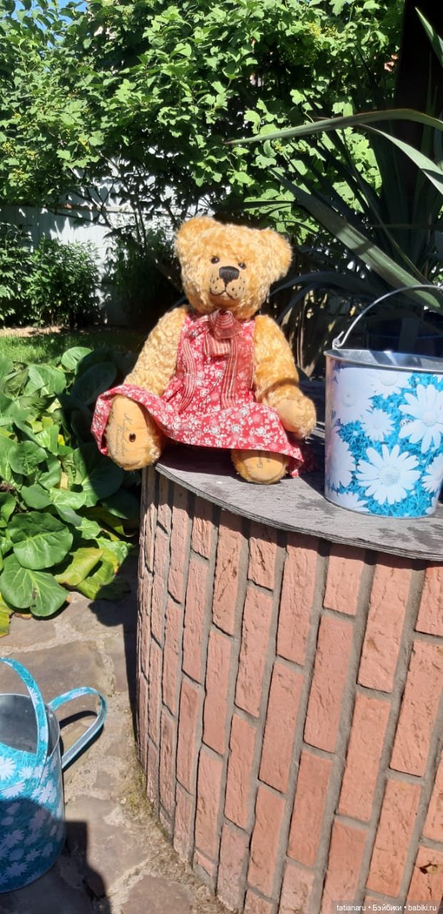 Дачная прогулка — Болталка и разговоры обо всем: жизнь (фото 3)