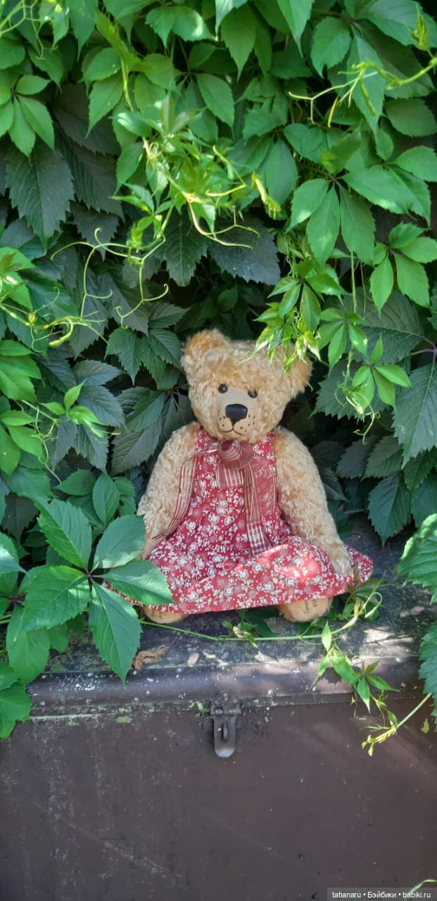 Дачная прогулка — Болталка и разговоры обо всем: жизнь (фото 7)