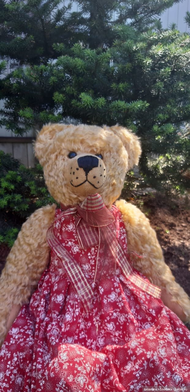 Дачная прогулка — Болталка и разговоры обо всем: жизнь