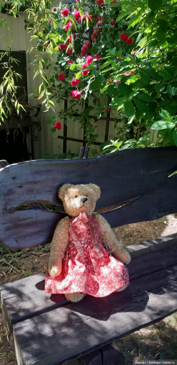 Дачная прогулка — Болталка и разговоры обо всем: жизнь (фото 6)