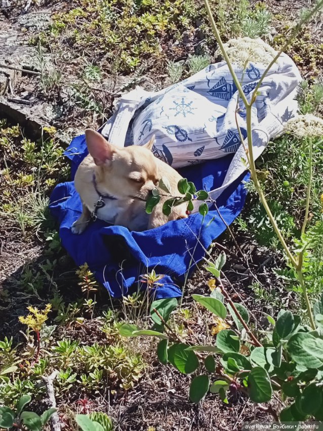 Башкирия. Отпуск продолжается