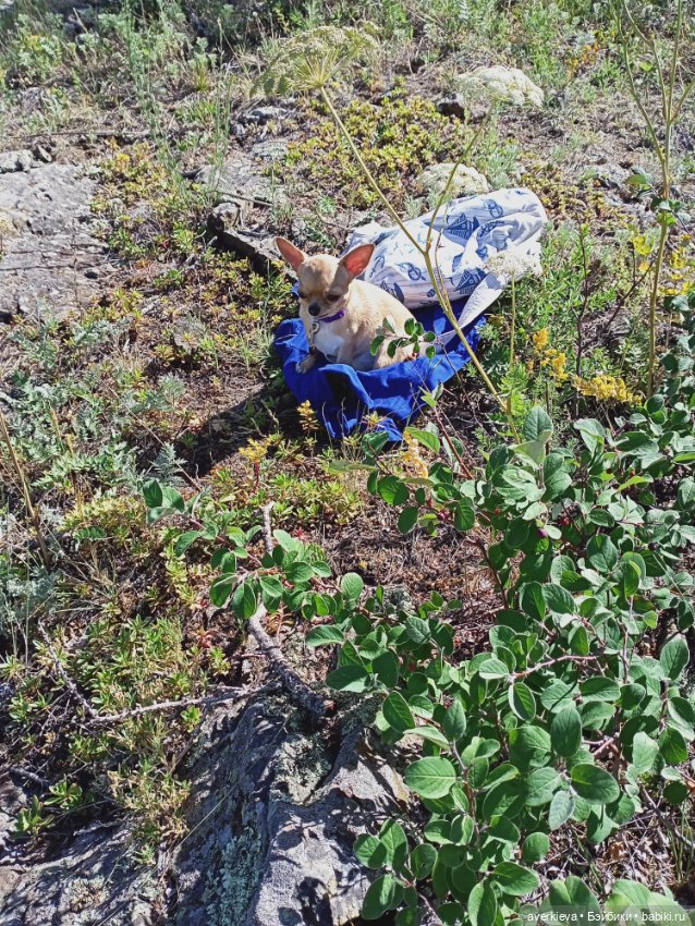 Башкирия. Отпуск продолжается
