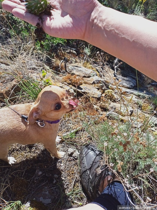 Башкирия. Отпуск продолжается
