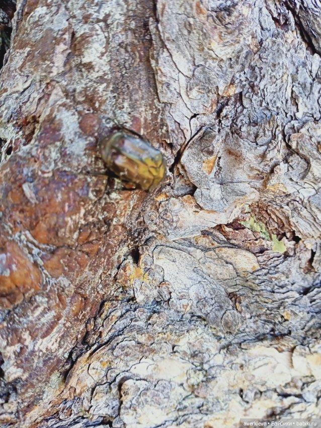 Башкирия. Отпуск продолжается