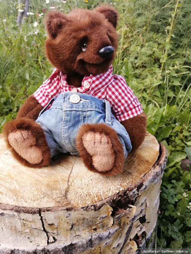 Малыш Austen — Авторские мишки Тедди и друзья: фото