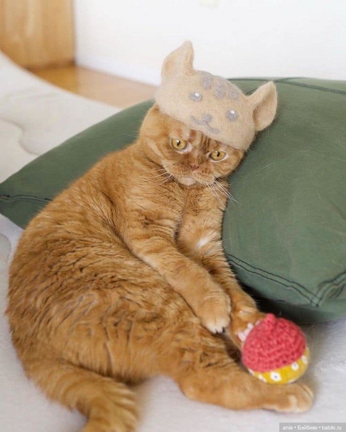 Кошки в шапочках от Ryo Yamazaki (фото 4)