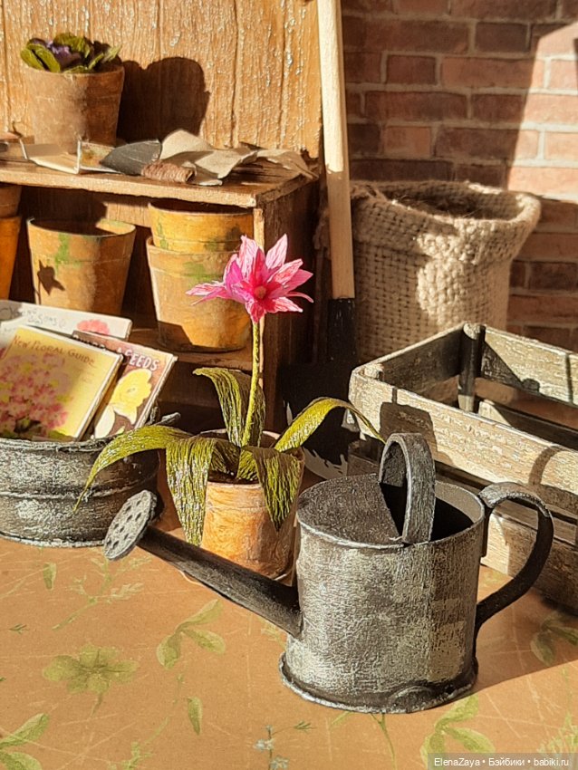 Провинциальная мечта... миниатюра (фото 7)