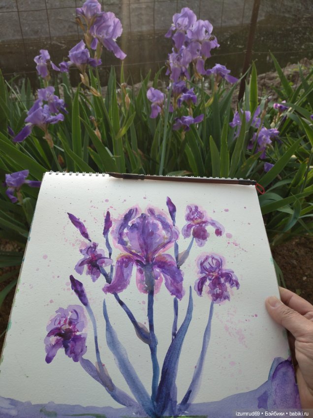 Я рисую. Часть 9 — Рисование и арт: скетчи